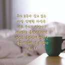 윤씨네상점