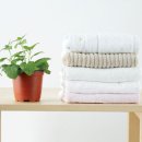 세탁의여왕 이미지