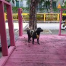 행운제작소 이미지