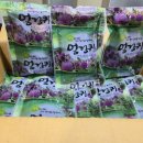 상진약초건강원