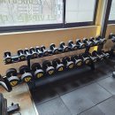 [판매 완료] 베스코 PU 덤벨 490kg 세트 일괄 판매합니다. 이미지