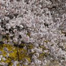 금오산길 이미지