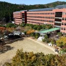 감정초교 이미지