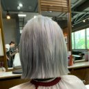 이원형 Daum카페