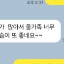 고양이분양 꽃개와 꽃냥 인천 청라점 이미지