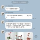 유포리아플라워
