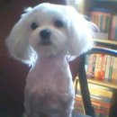 화곡4동 이미지