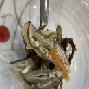 미연복집 | [곡성맛집] 전라도의 진심이 담긴 보양식, 곡성 미연복집 본점 맛깔나는 후기