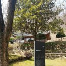 성철축사 | 무소유의 행복, 법정을 그리워하다