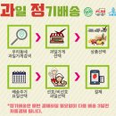 흥부네싱싱과일청과