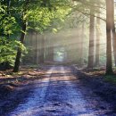 화선농장 이미지