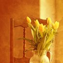 세계행정사 이미지