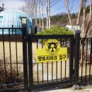 [충주] 애견동반숙소 펫트리파크 다녀온 후기