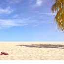 용인대 꿈나무 태권도 이미지