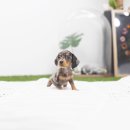 실버케어마스터 이미지