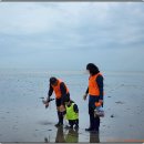 마시안갯벌체험장 이미지