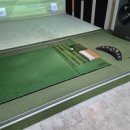 골프존 버디 스크린 이미지