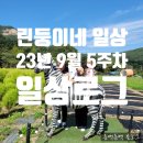 진진노래연습장 | [린둥이네 일상] 9월 다섯째주 일상