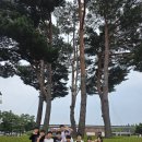 동아대태권도장 | 중고등부 합숙 후기