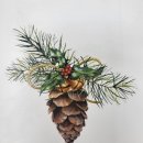 Pine cone 이미지