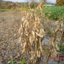 경방농장 이미지