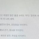 쌍치초등학교 이미지