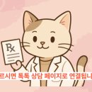 5층은약국 이미지