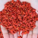 건국농원 이미지