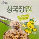 고피지에이