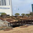 짓,123학습 이미지