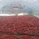 규남농장 이미지