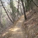 창원MTB 이미지
