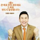 인셀덤 꿈