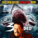 샤크 네이버블로그