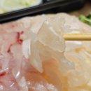 양산남부시장맛집 장날에 자매횟집 모둠회 포장후기(feat. 물회)