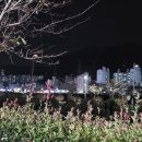 지혜미용실앞(정하탕옆) | #독산미션 매일독서 100일/ 100일차