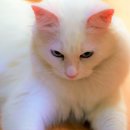 스타벅스통영죽림점 이미지