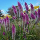 노후설계상담사 1급 과정 이미지