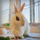 도형목욕탕 이미지