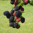 제일시장한의원 이미지