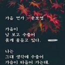 바다숨소리 이미지