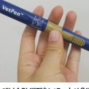 시티종합동물병원 이미지