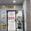 아일랜드 수월점 네이버블로그