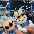 우리공항서비스㈜제주지점 | 제주 여행 후기를 낋여오는 블로그