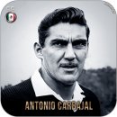 중원-74 | 멕시코 축구 국가대표팀 역대 베스트 일레븐