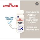 닥터펫 동물의료센터 | 노묘 간호 일지 (개금역 닥터펫동물의료센터)