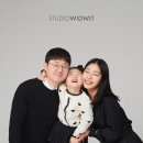 스튜디오위드위트