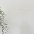 보나디자인스튜디오 이미지