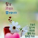 행복한의료기 이미지