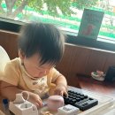 경기도 수원시 장안구 경수대로 | 수원 파장동 맛집 추천 코지하우스 수원장안점 내돈내산 후기